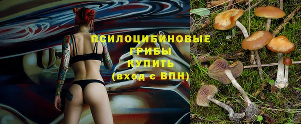 герыч Володарск