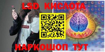 прущие грибы Кимры