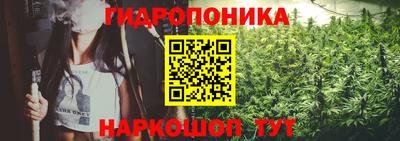 сатива Абинск