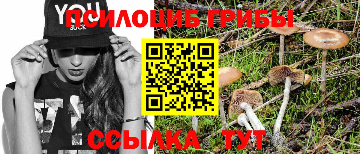 Псилоцибиновые грибы прущие грибы Медногорск