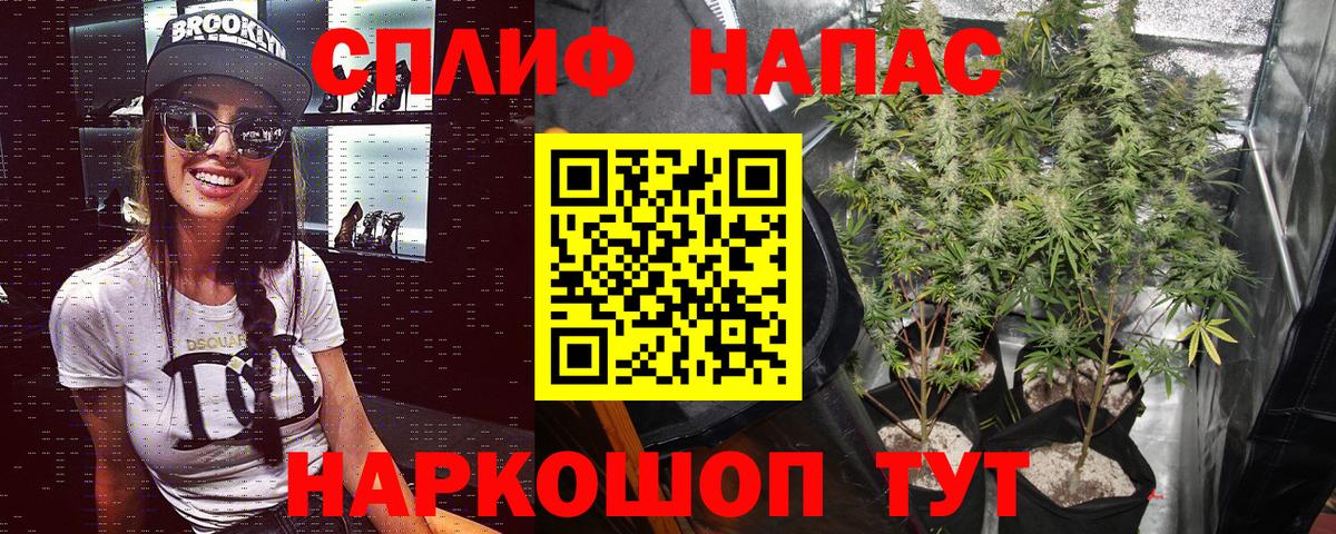 Шишки марихуана сатива Медногорск